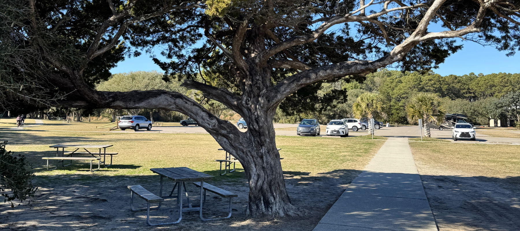Huntington Beach State Park