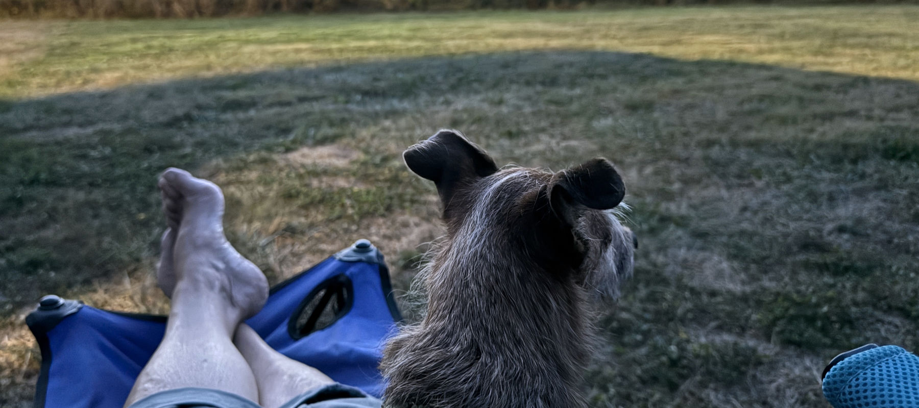 Zimmer on mom's lap at campground.