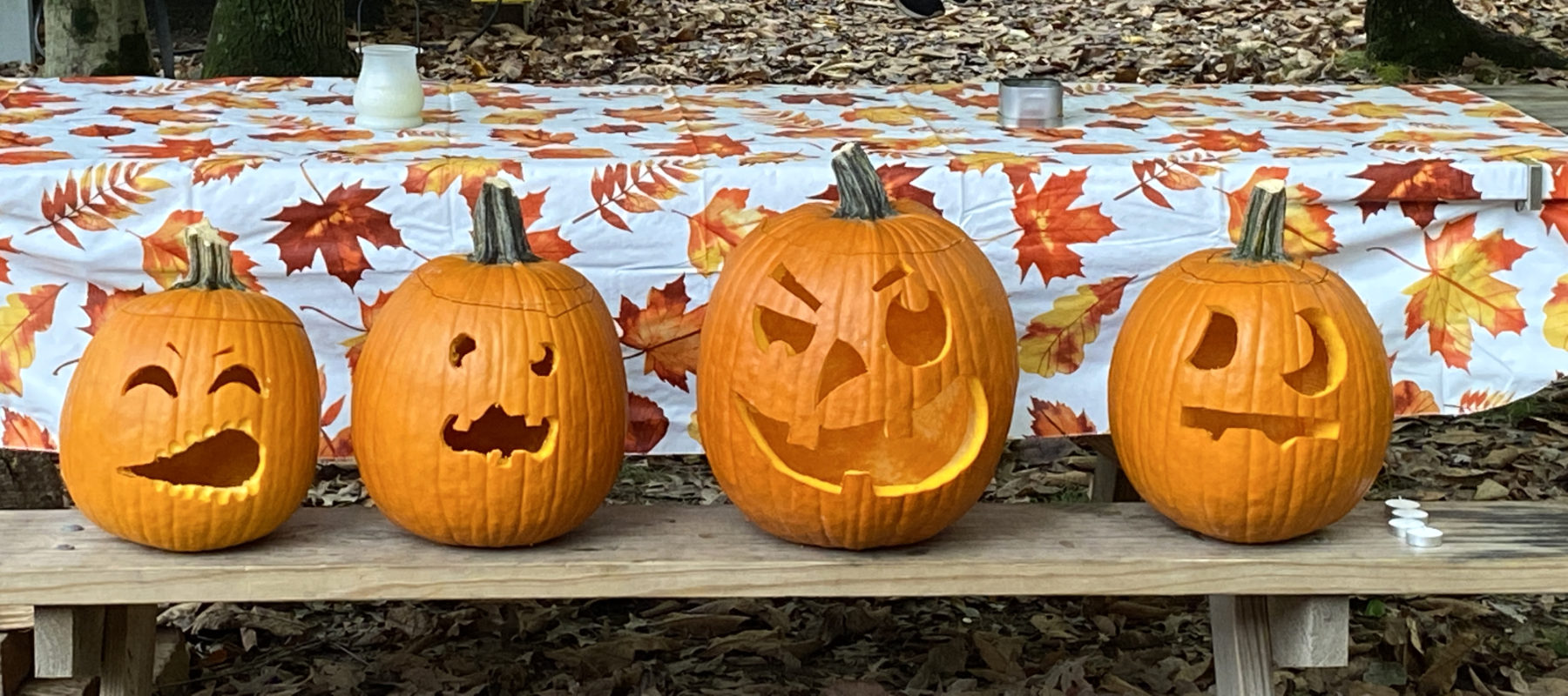 Deam Lake State Recreation Area - Halloween.