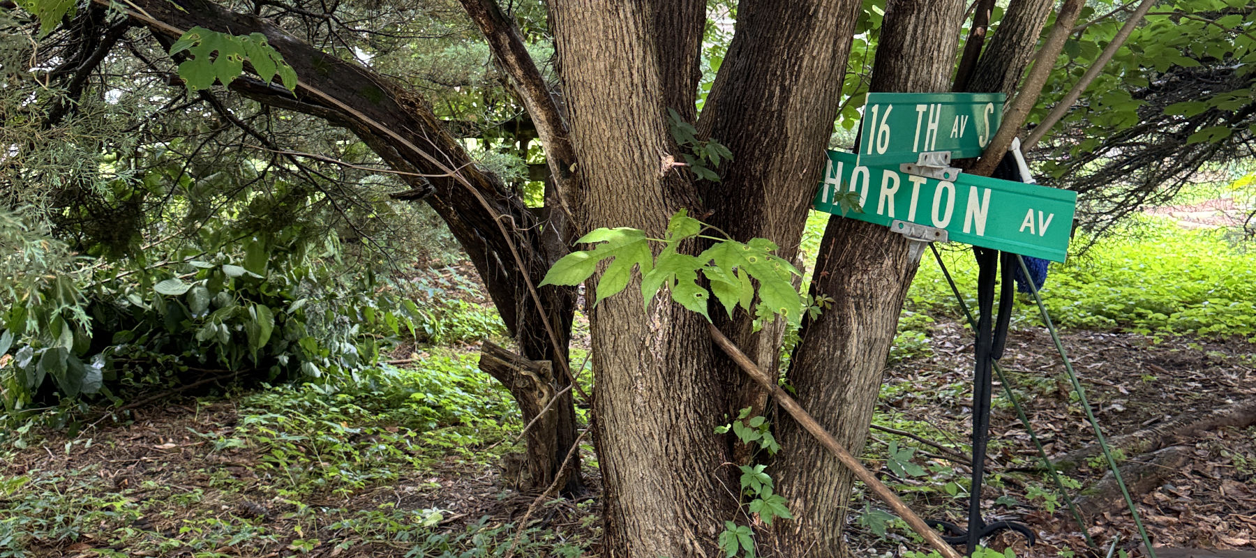 Rusty's backyard - 16th & Horton
