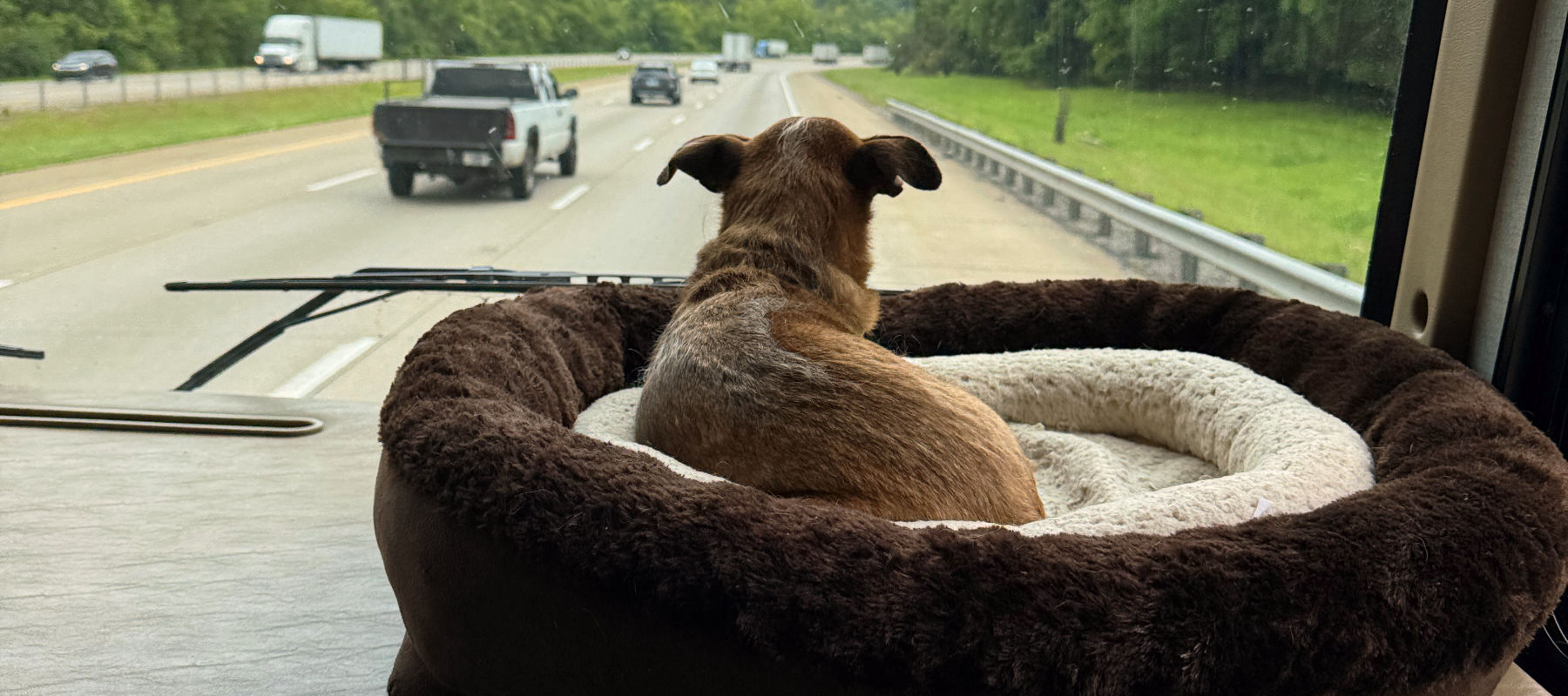 Zimmer on Itasca dash on the road to Rusty's.