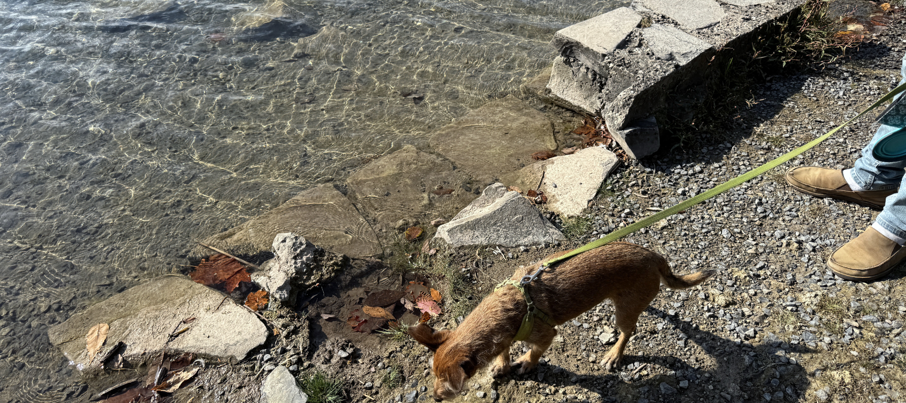 Green Lake State Park - Zimmer at water's edge