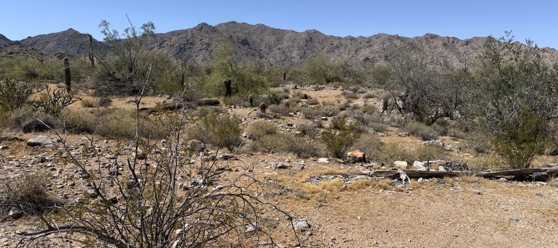 White Tank Mountain Regional Park