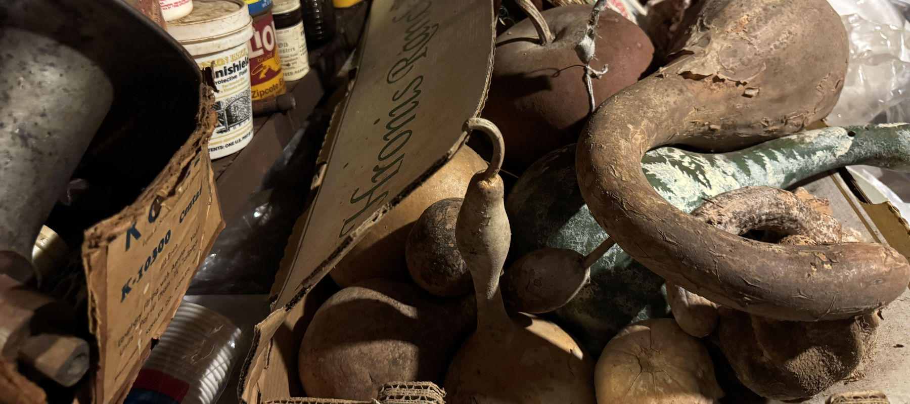 Hoarder Museum - Fresh Produce