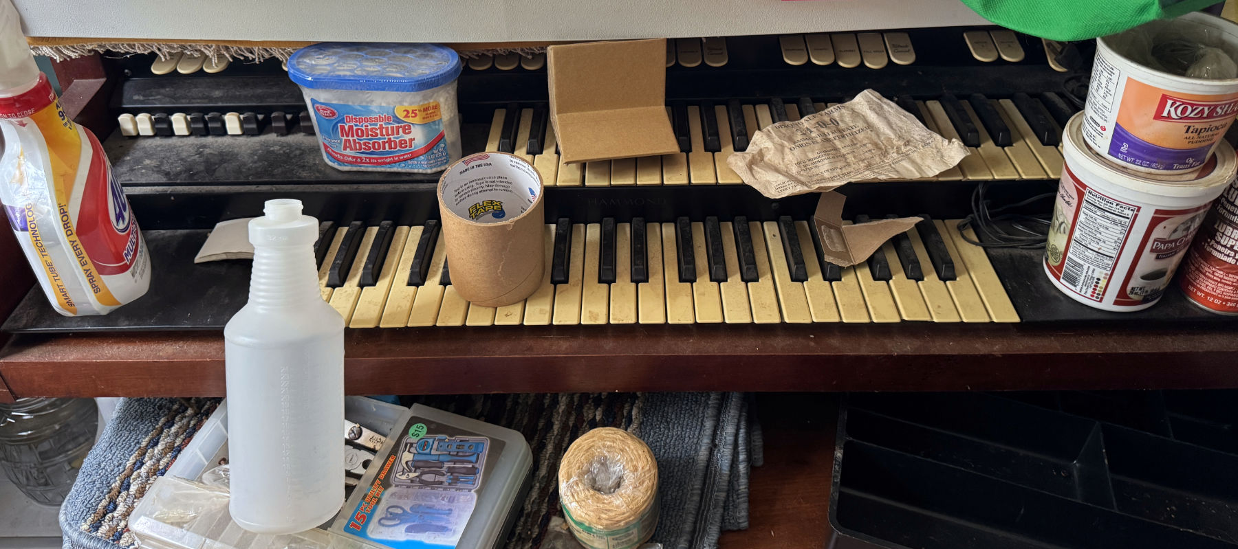 Hoarder Museum - Organ