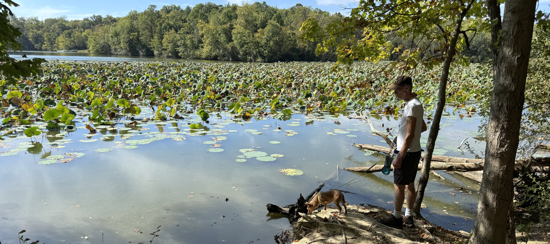 Cowan Lake State Park - Zimmer and dad in the marsh.