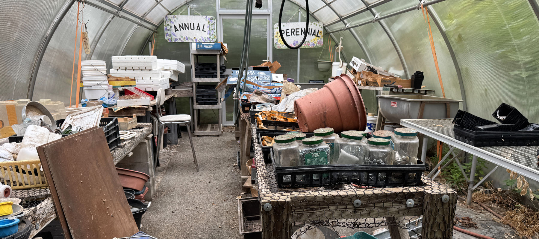 Hoarder Museum - Annual or Perenial?