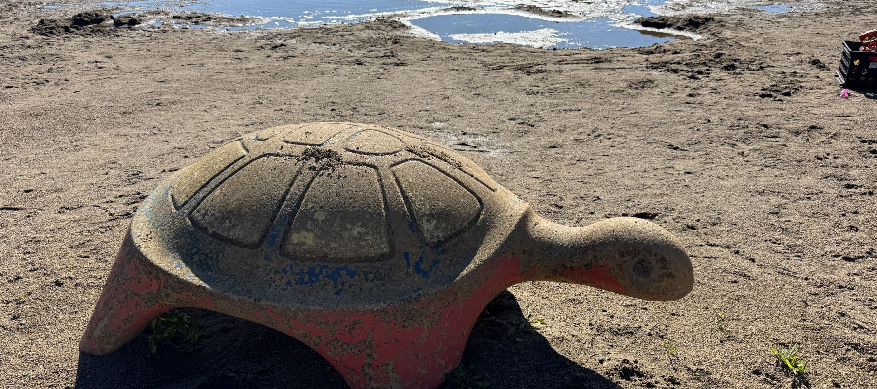 El Rancho Manana Campground - cement turtle on beach.