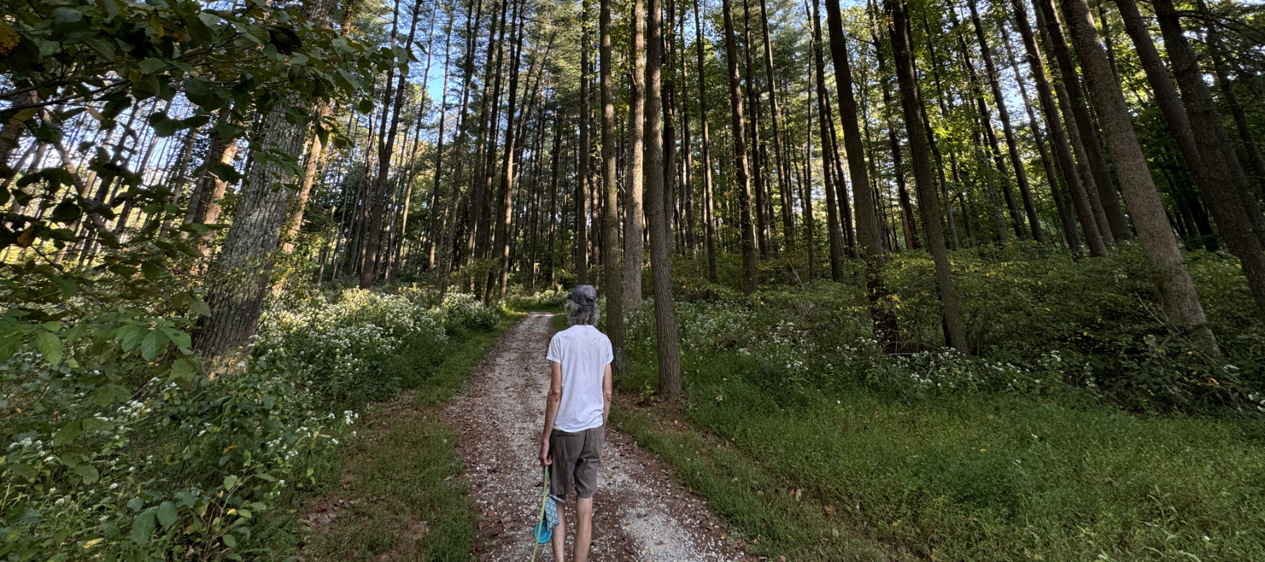 Sycamore Springs Park - Dad in forest.